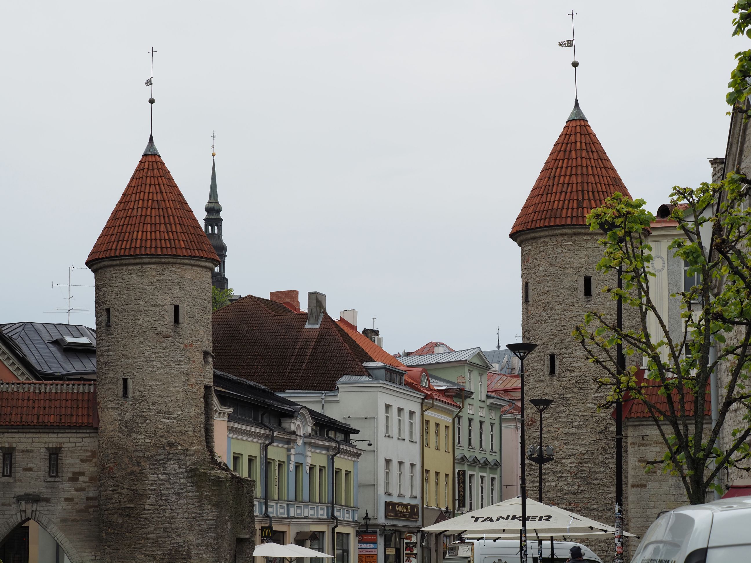 Lehmpforte Tallinn