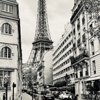 IMG_2455