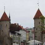 Lehmpforte Tallinn